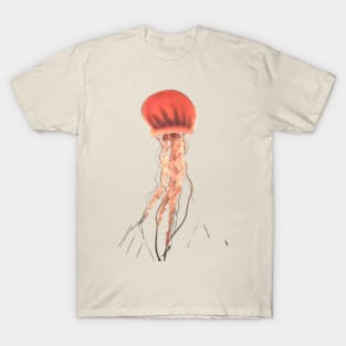 Jellyfish Photo T-Shirt